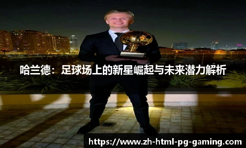 关键词4